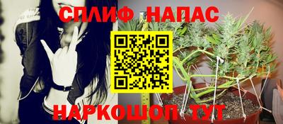 индика Ирбит