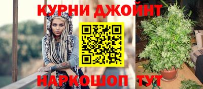 индика Ирбит