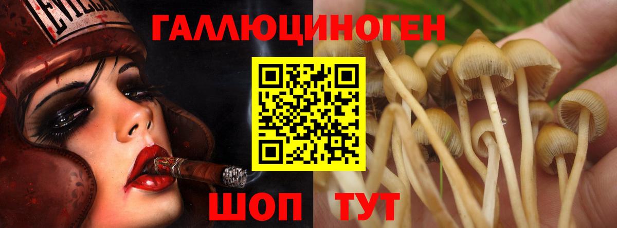 где купить наркоту  Вход с VPN  Лангепас  Псилоцибиновые грибы MAGIC MUSHROOMS 